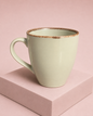 Mint Porcelain Mug